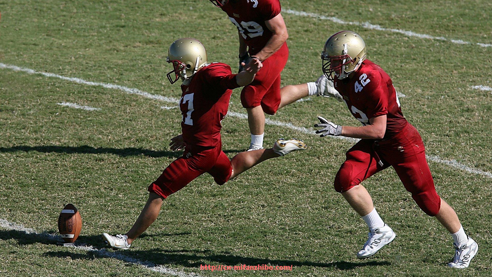 秘饭直播-山东塑木健身器材的优势与应用：塑木材质健身器材的环保与耐用性分析